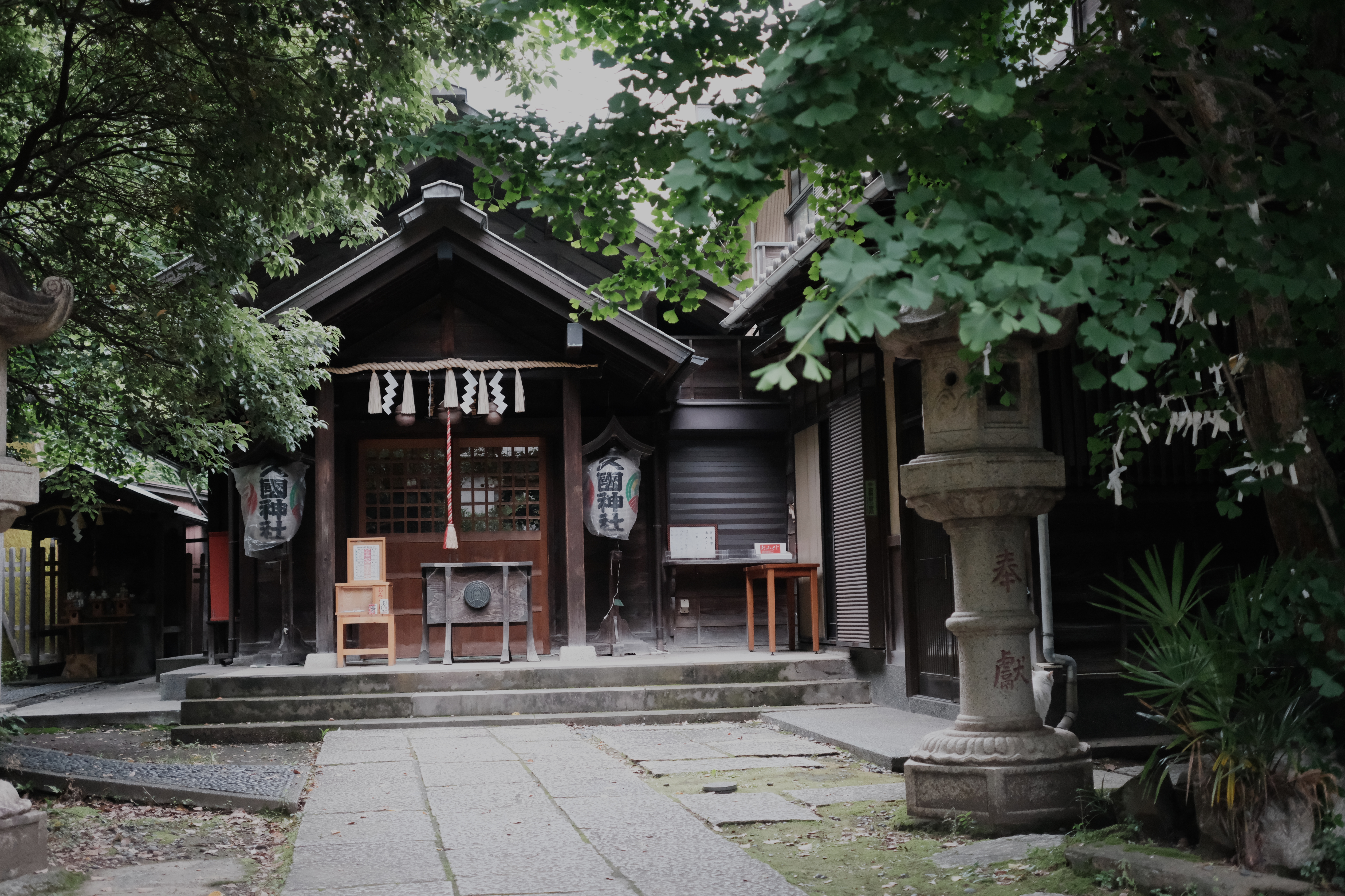 Hisakuni-jinja, a small shrine tucked off the road