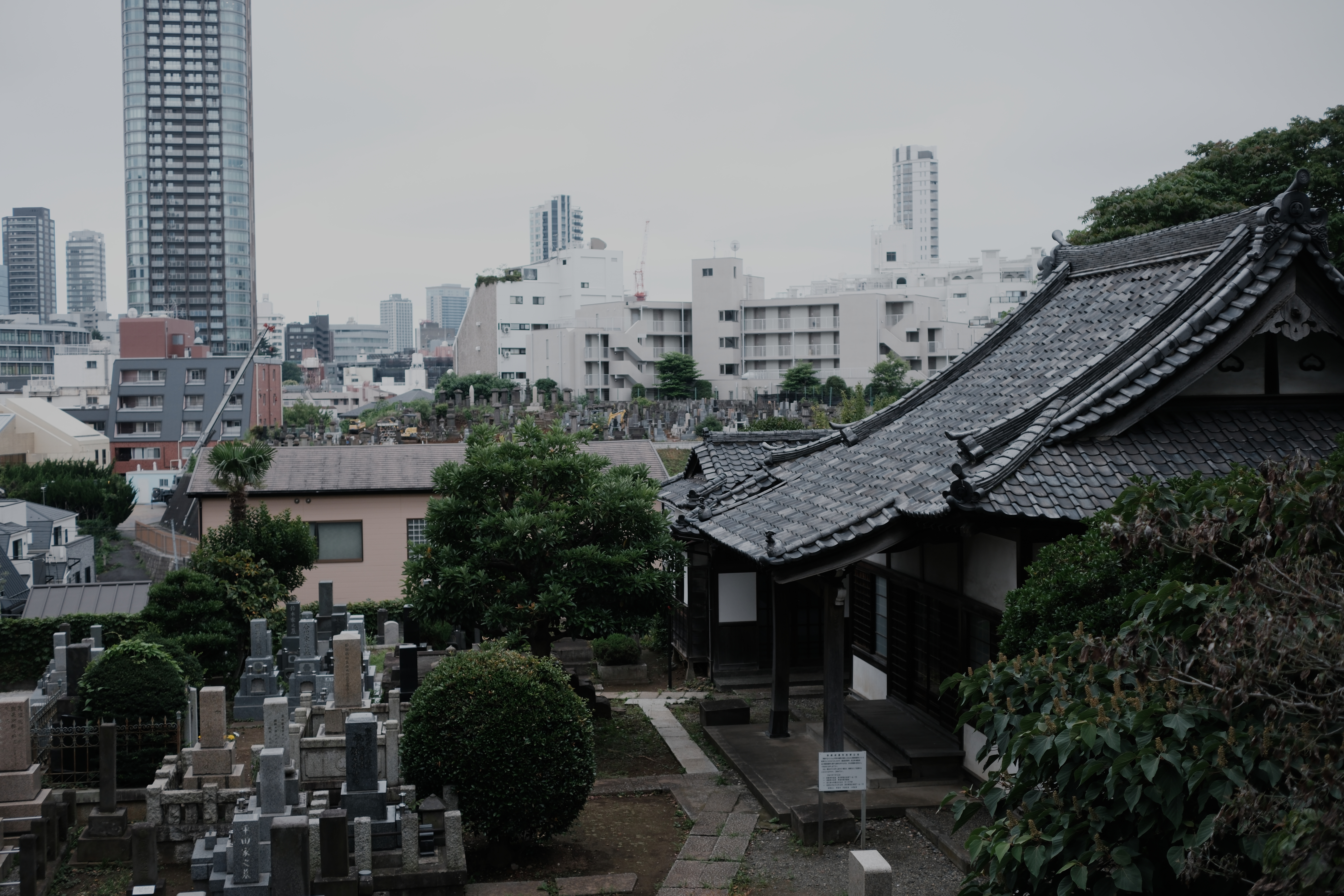 Temple roofline against the Akasaka skyline, cemetery in the foreground