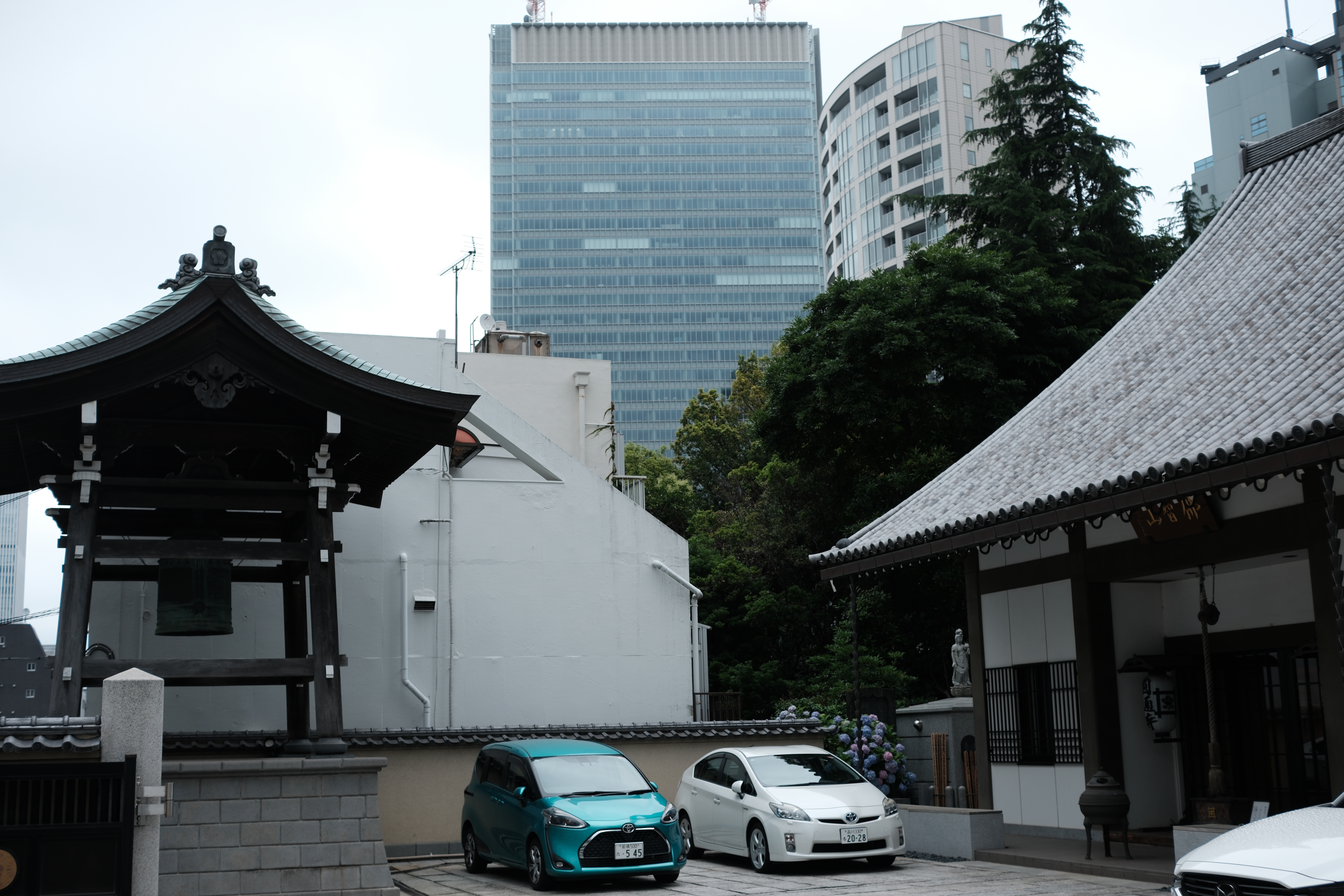 Hydrangea bloom at Entsu-ji, with a small service underway inside, closing image