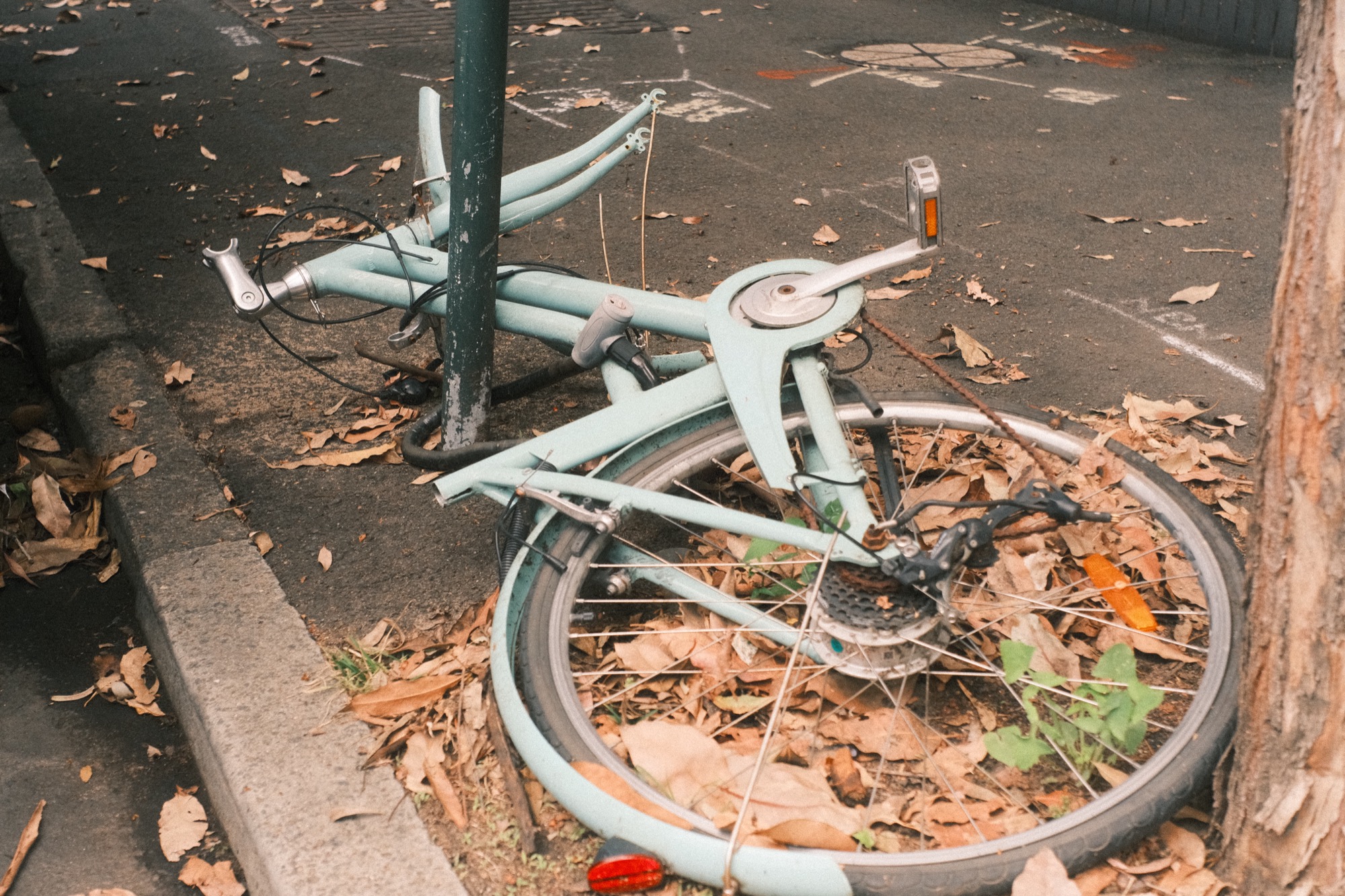 A pale blue bicycle lies folded against a pole in a drift of dry leaves.
